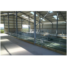 China Steel Structure Prefabricated Metal Shed Cattle Building